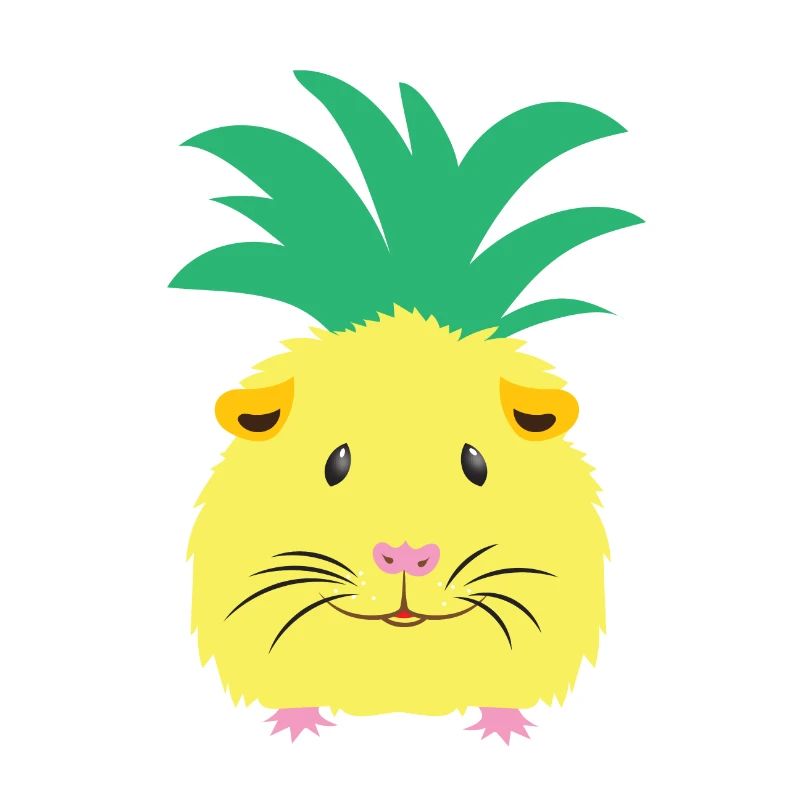 Cochon d'Inde ananas jaune