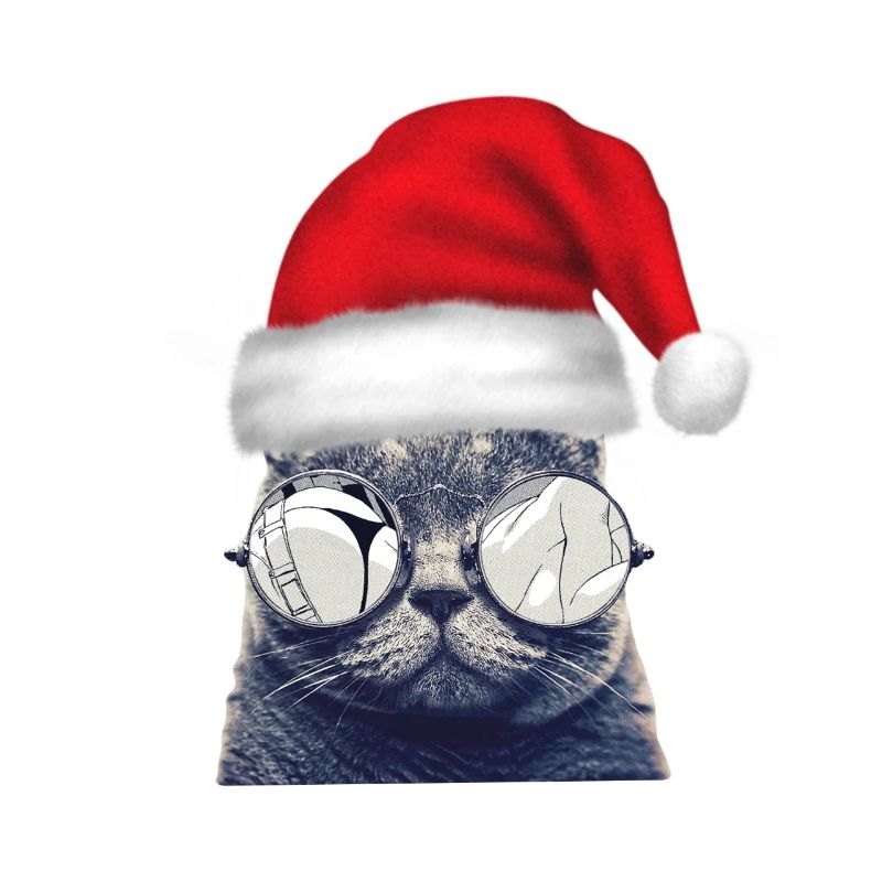 Lunettes de chat de Noël