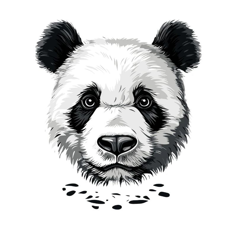 Panda Ours Pandas Géants Panda Géant Mignon Panda Ours Panda