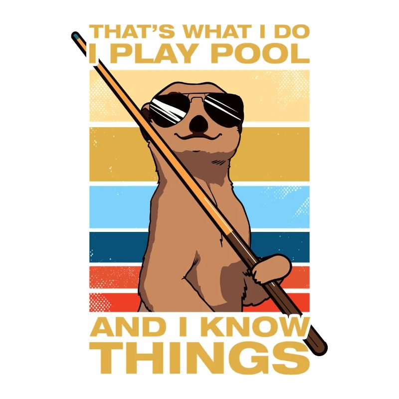 That's what i do funny billiards player