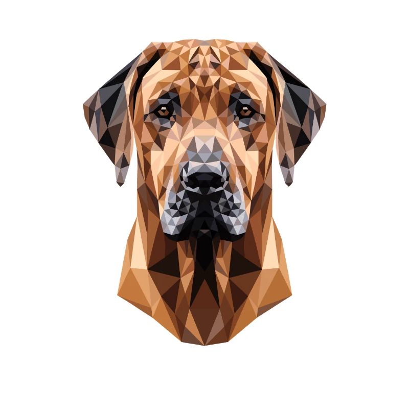 Rhodesian Ridgeback Jagdhund Hunde Stolz Ridgeback