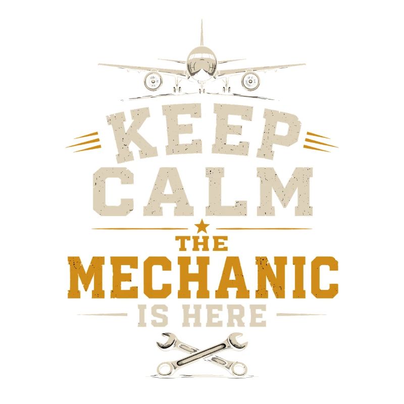 Aircraft Engineering Aviation Engineer Profession