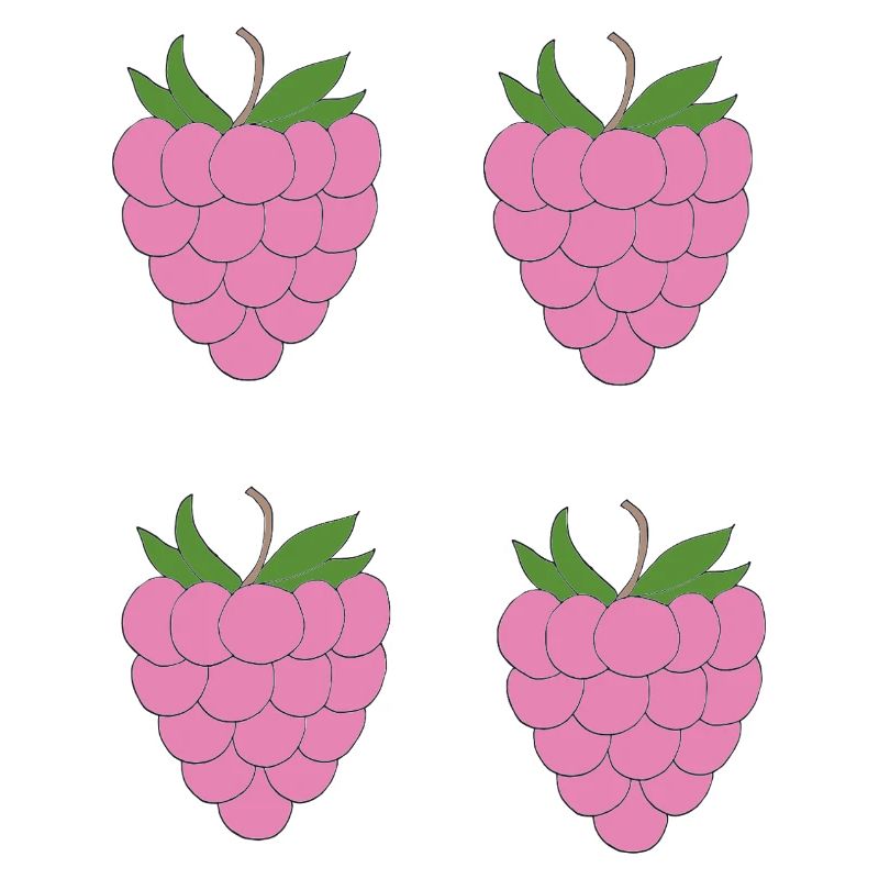 Raspberry Double Cluster Pattern