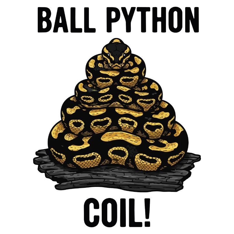 Royal Python Ball Python Coil Reptilienpyramide