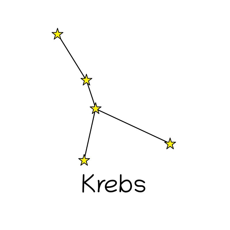 Sternzeichen Krebs