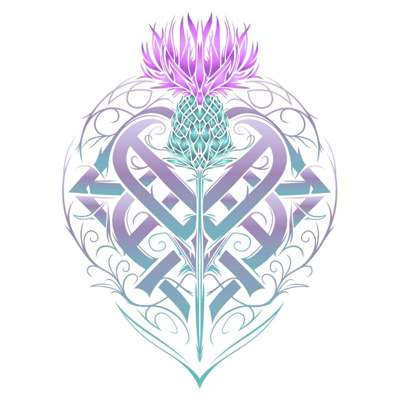 Thistle Shield Celtic Knots Thistle Lover