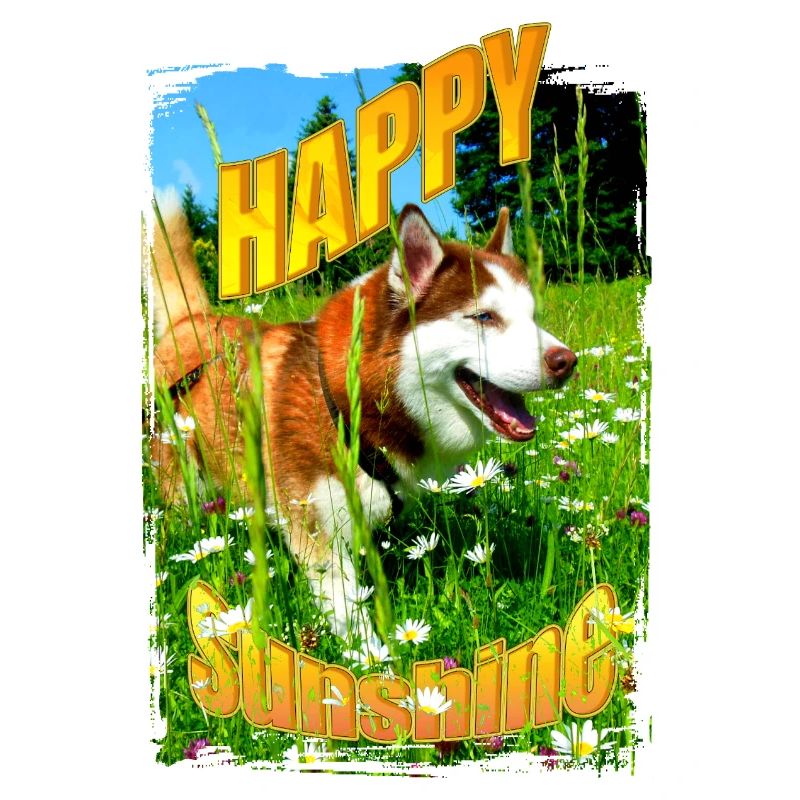 Chien heureux dans un champ de fleurs