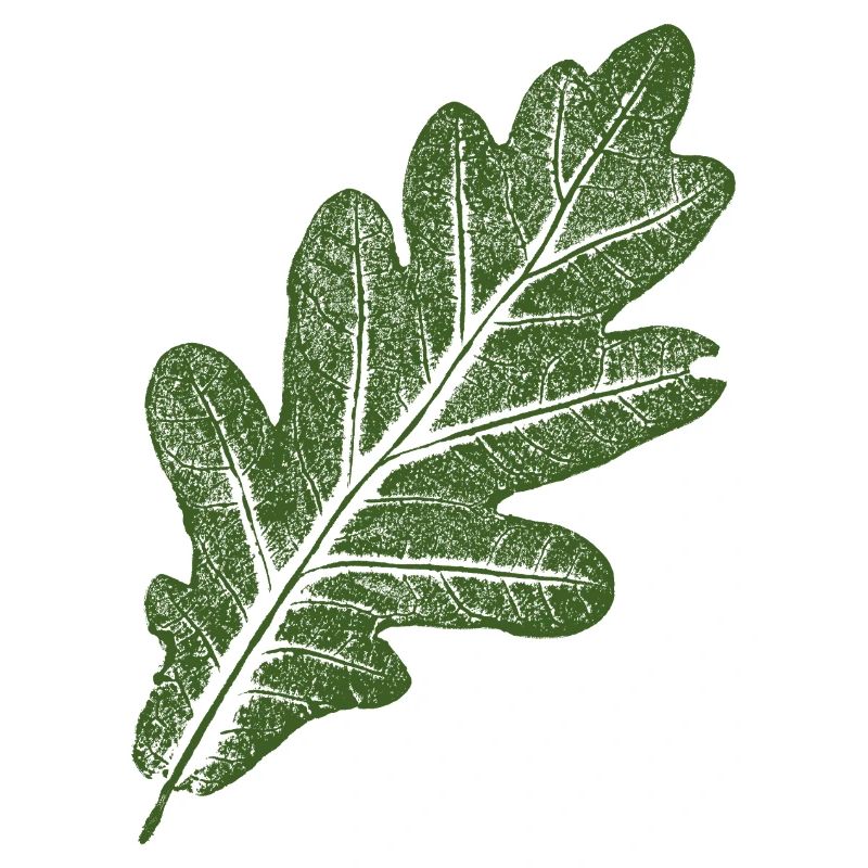 Feuille de chêne / Vert