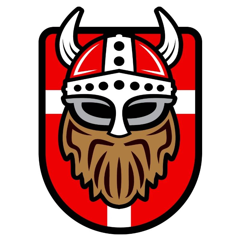 Viking cool avec drapeau danois
