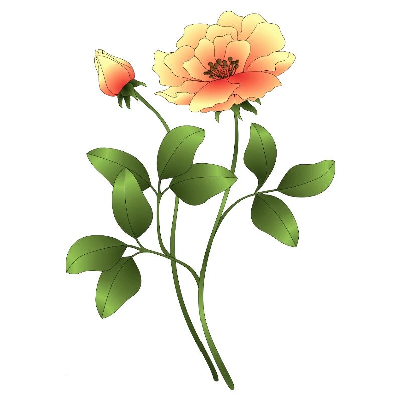 Fleur
