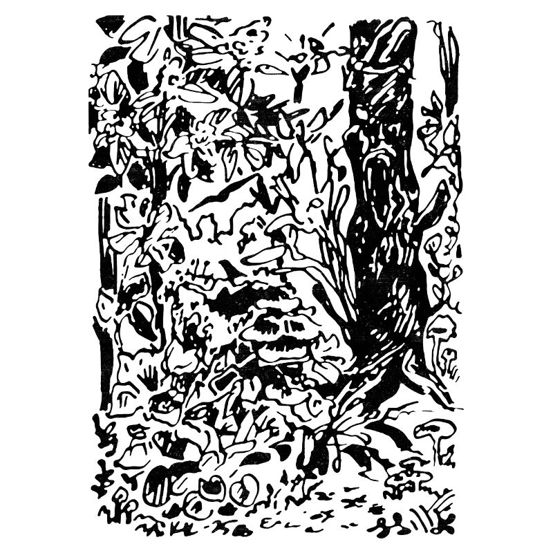 FORÊT ENCHANTÉE