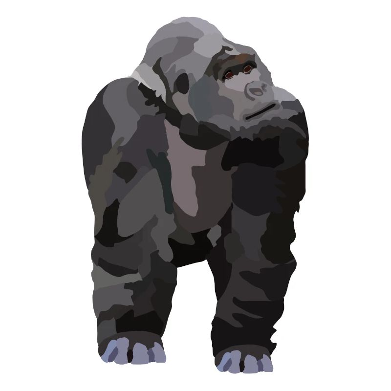 Gio, der Gorilla