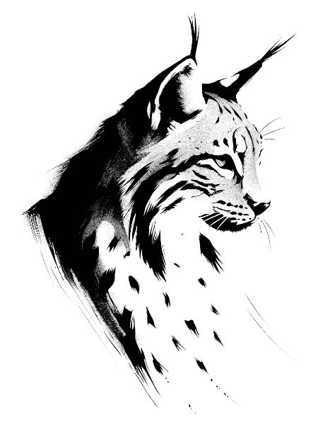 Luchs