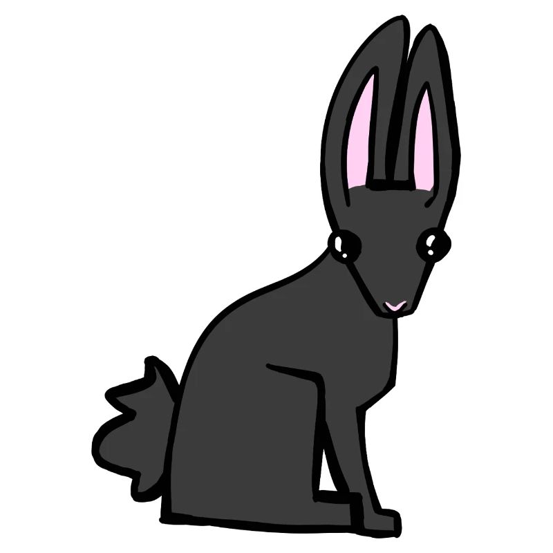 Lapin noir