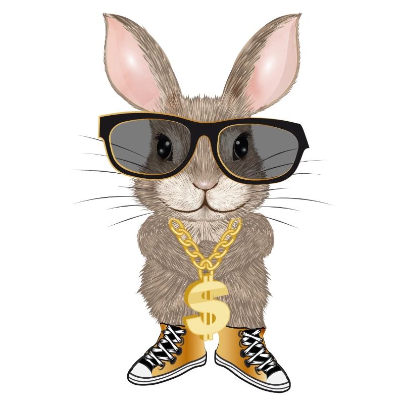 cute bunny as hip hopper with cool glasses