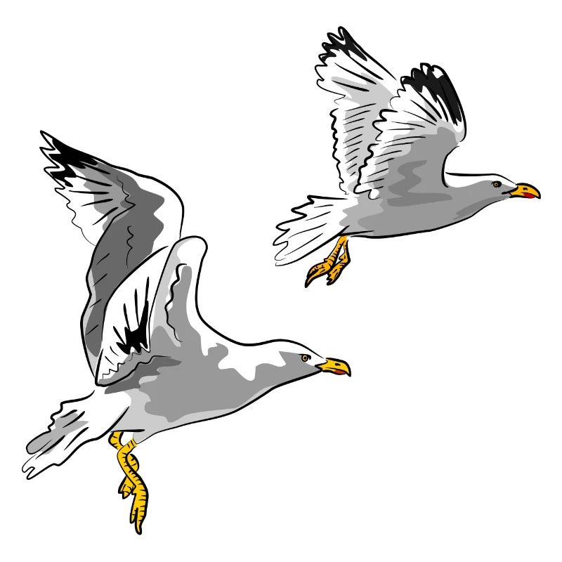 Möwen im Flug Design