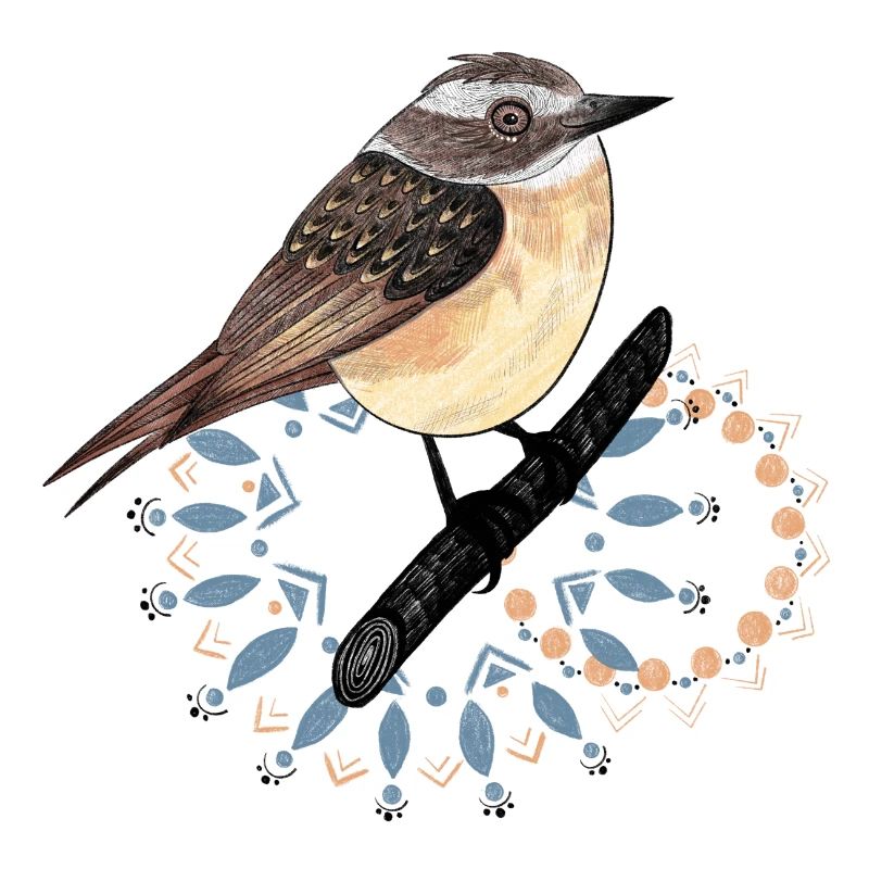Mignon oiseau à gorge brune 2023 (Garantie du prix le plus bas)
