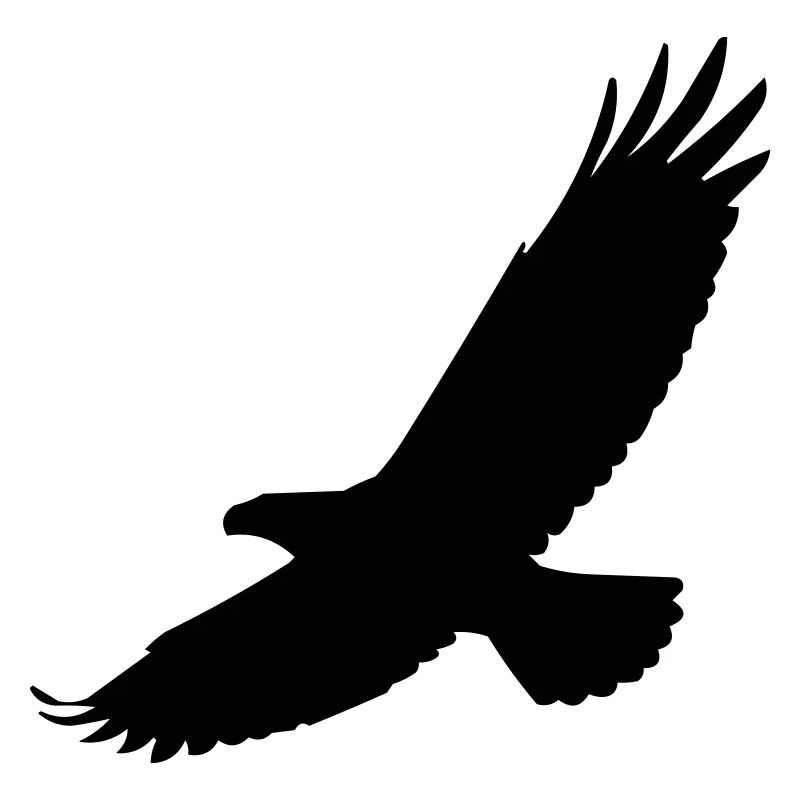 Falcon in flight