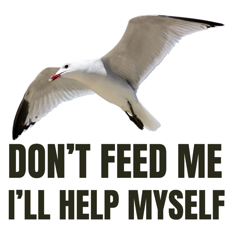 Möwe mit mutigem Statement