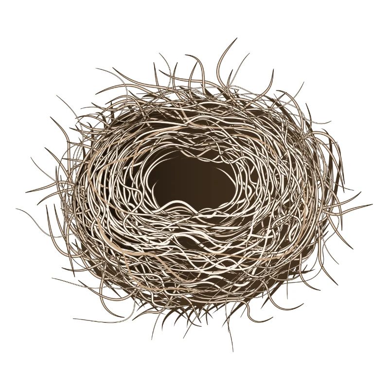 empty bird's nest or easter basket for spring