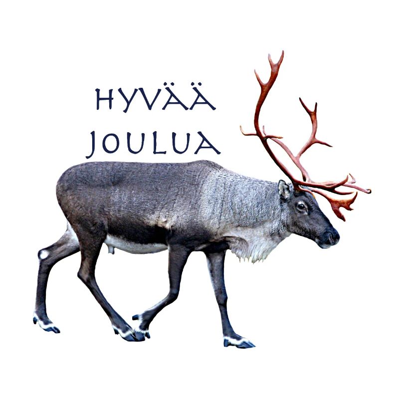Hyvaa Joulua