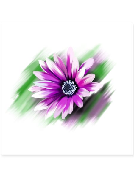 Blume