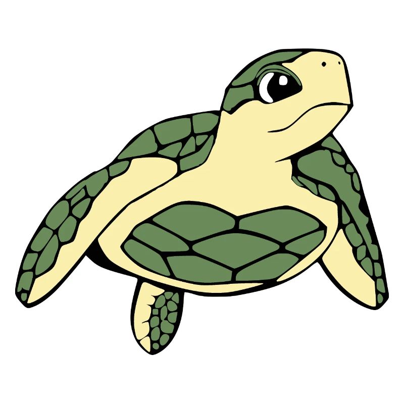 Turtle Turtles