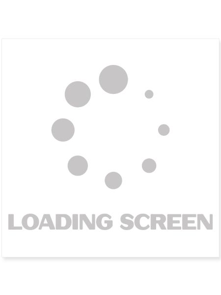 LOADING SCREEN