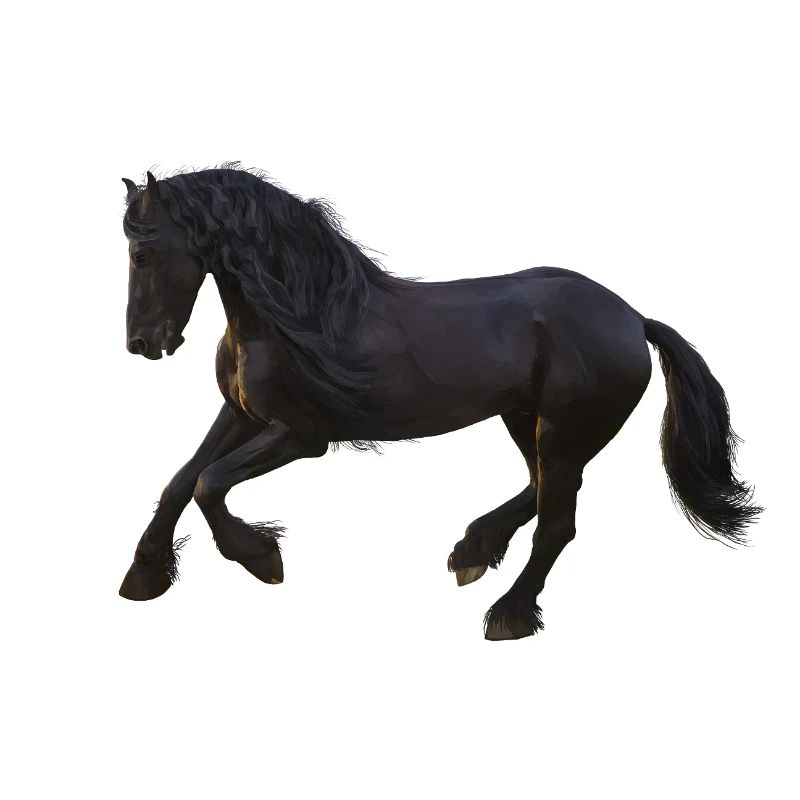 Cheval
