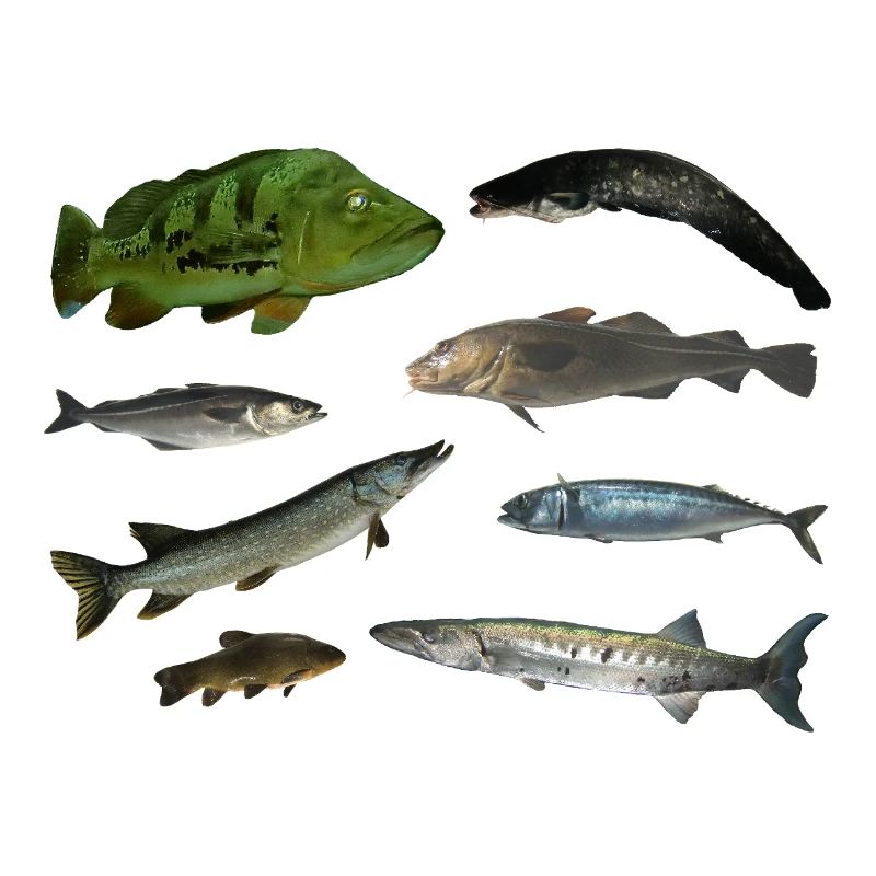 Poissons
