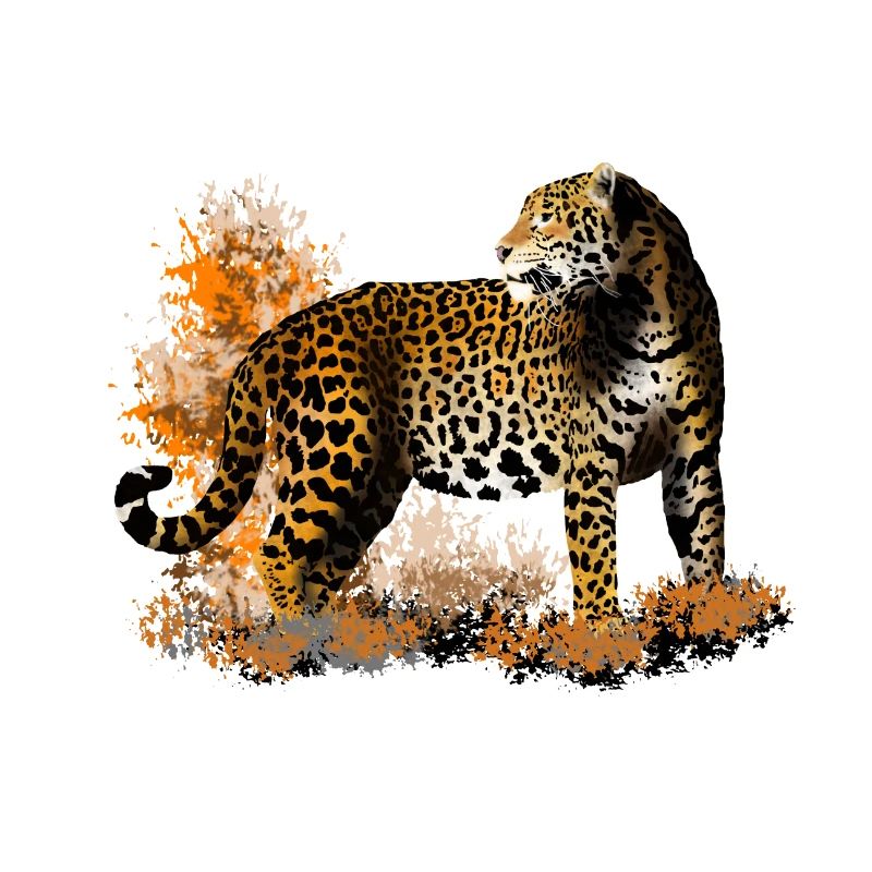 leopard
