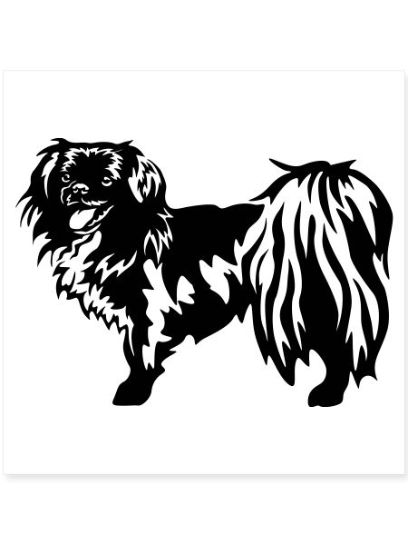 Tibet Spaniel