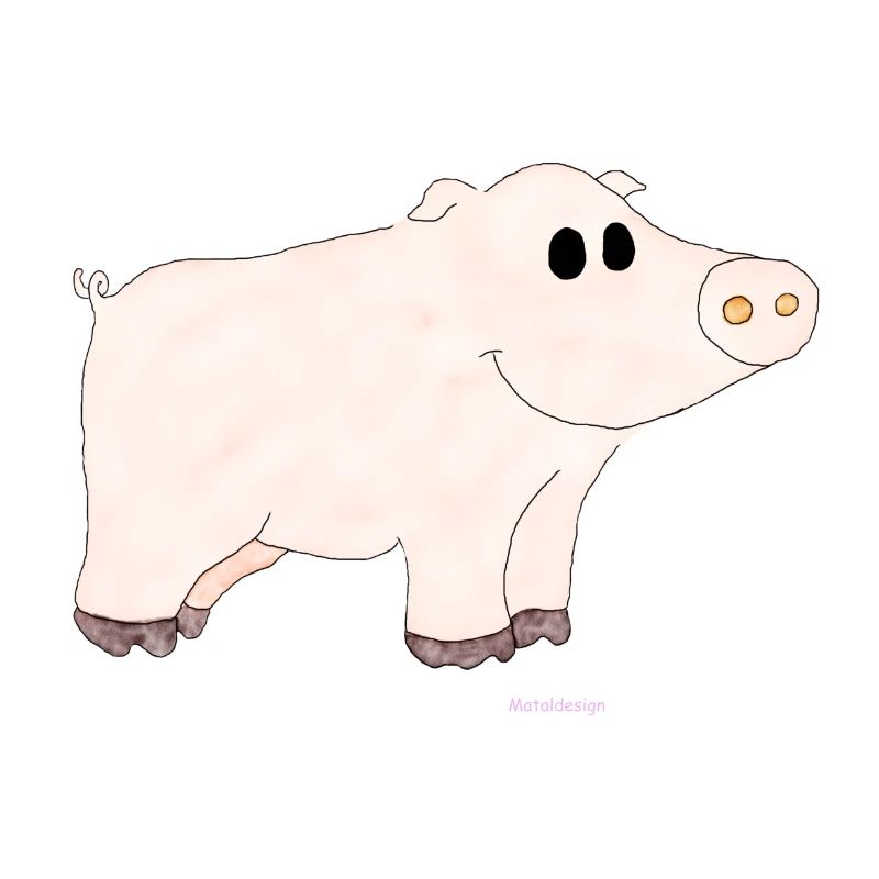 Cochon / Cochon