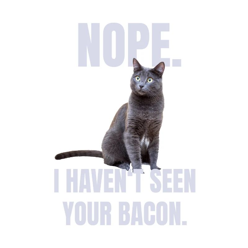 Chat marrant