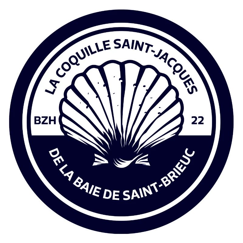 La Coquille Saint Jacques Baie de Saint-Brieuc