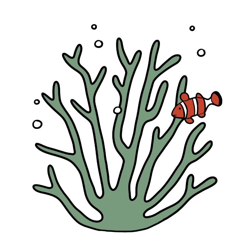 Coral anemone fish