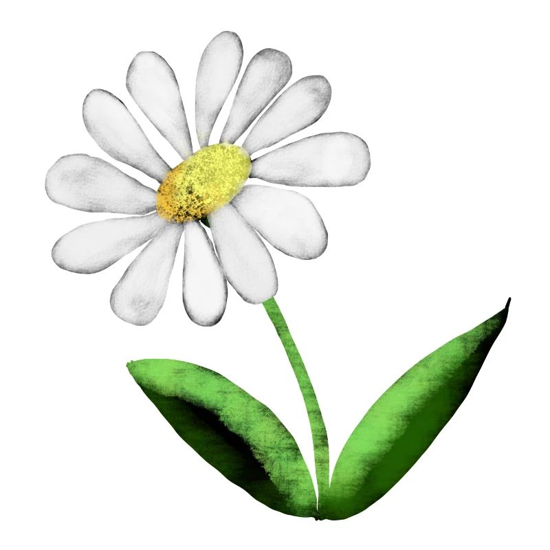 Orgogliosa Marguerite