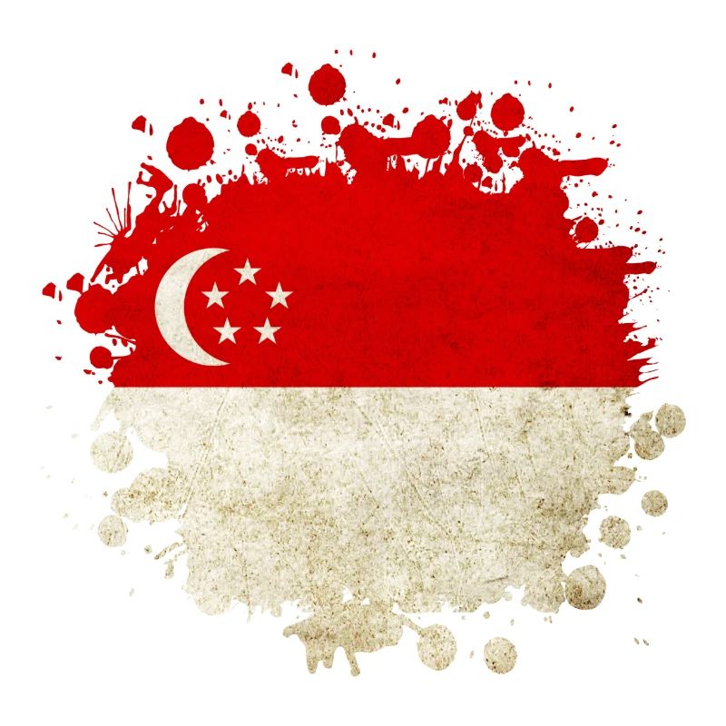 Design du drapeau de Singapour