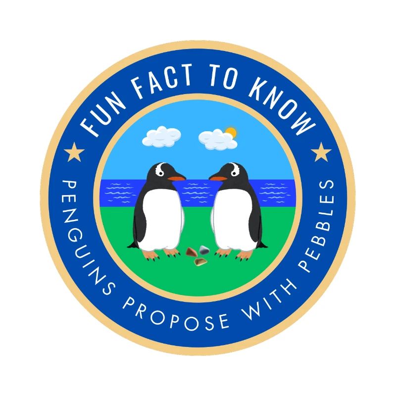 Penguins propose with pebbles
