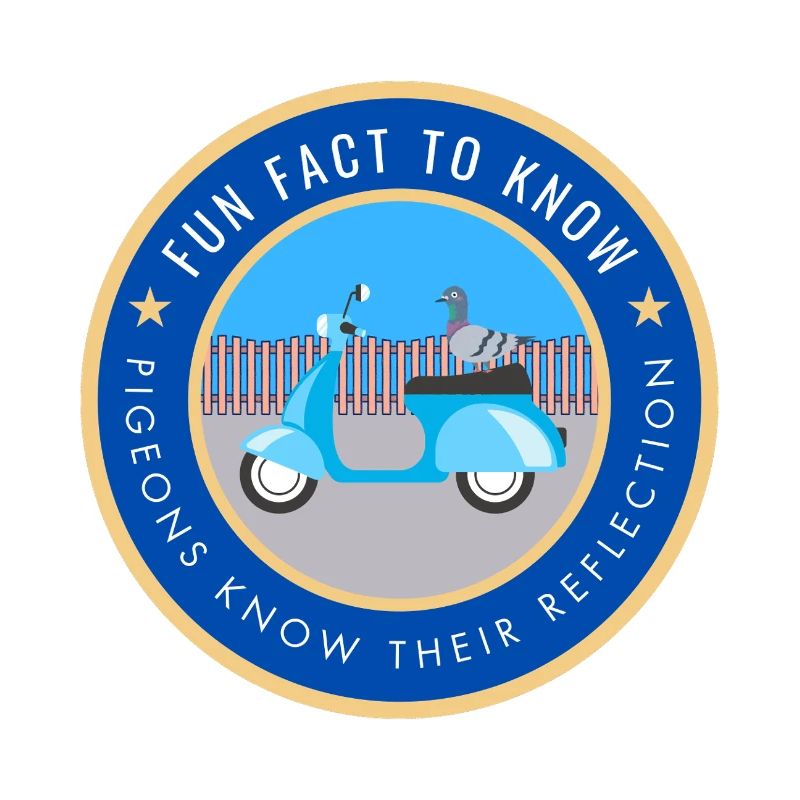 Pigeons know their reflection