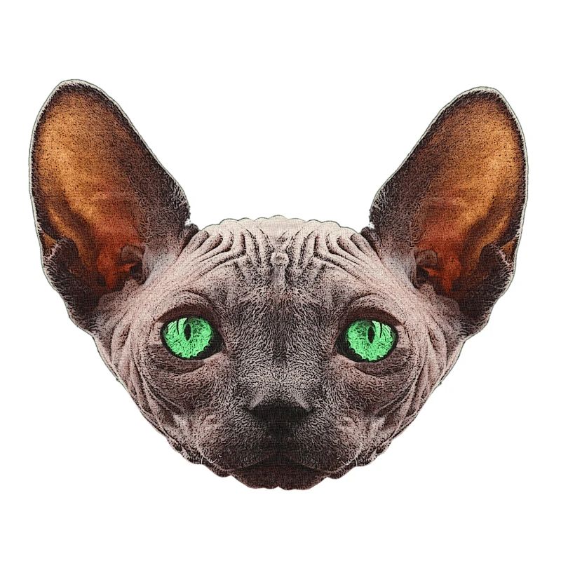 nacktkatze, sphings katze