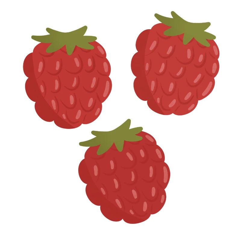 Vivid Raspberry Fruit Pattern