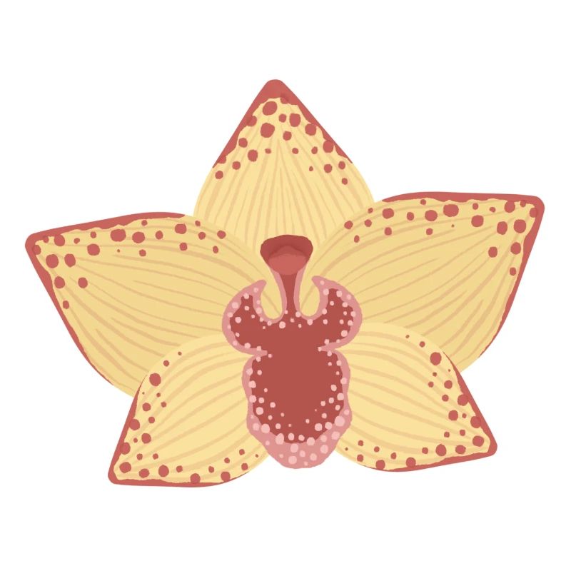 Illustration élégante de fleur d’orchidée