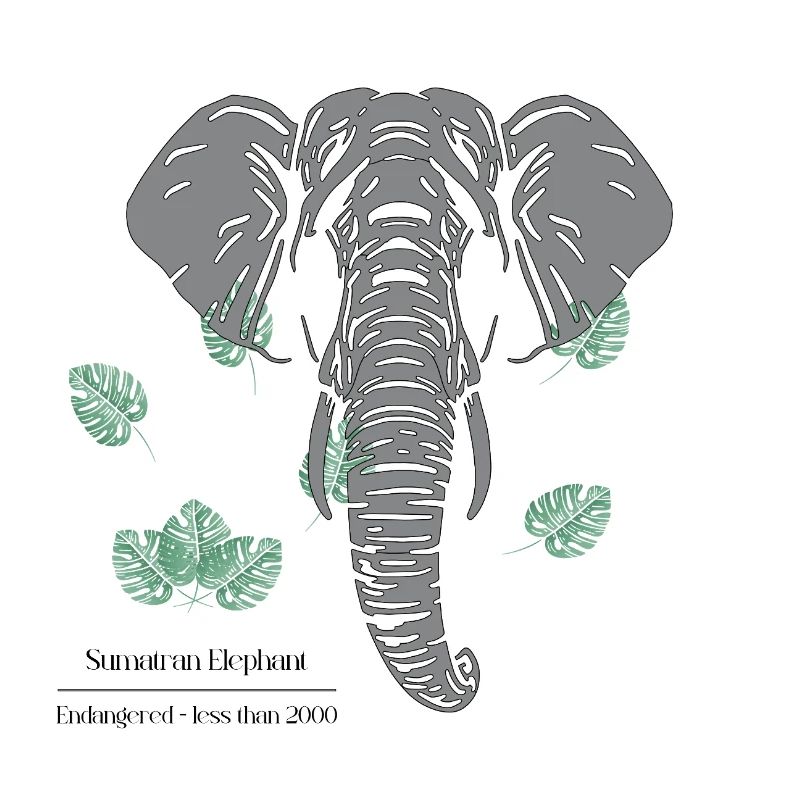 Sumatran_Elephant_-_grey