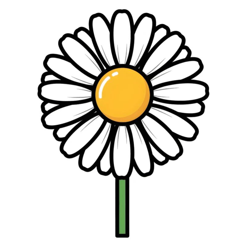 Gänseblümchen
