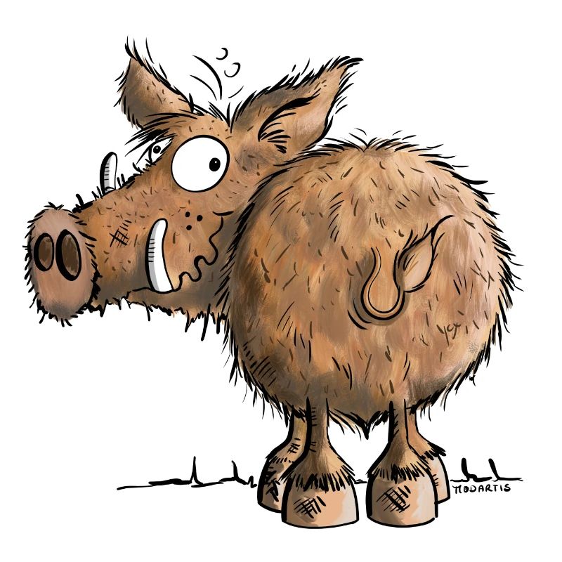 Funny Wild Boar