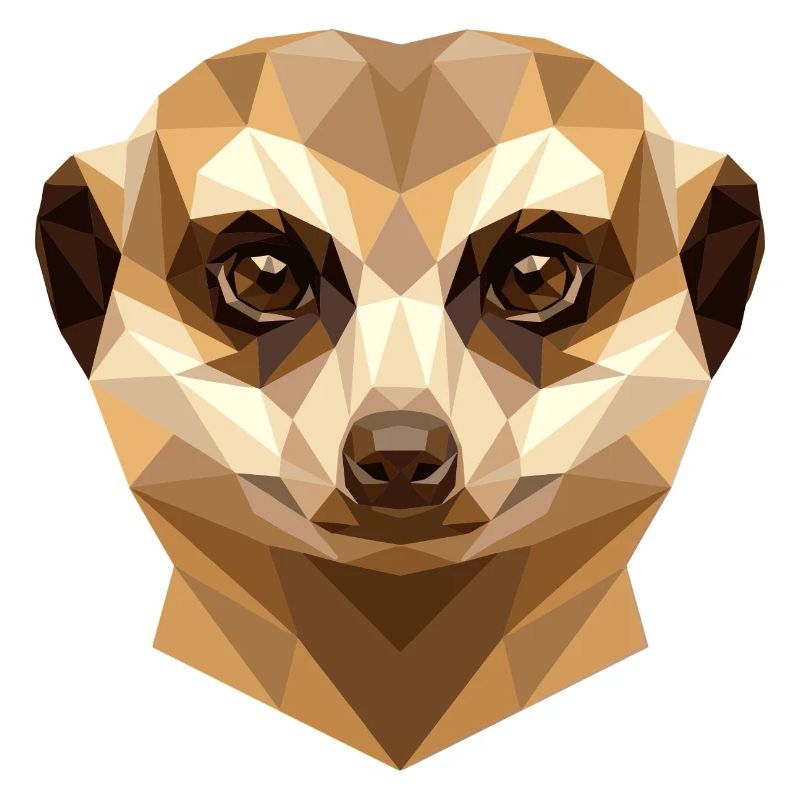 Suricate Suricate Douce Mangouste Suricate