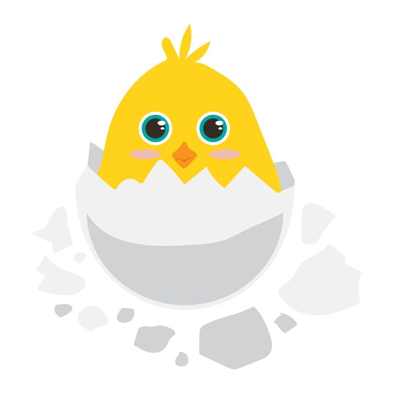 Baby chick hatching - Gift idea