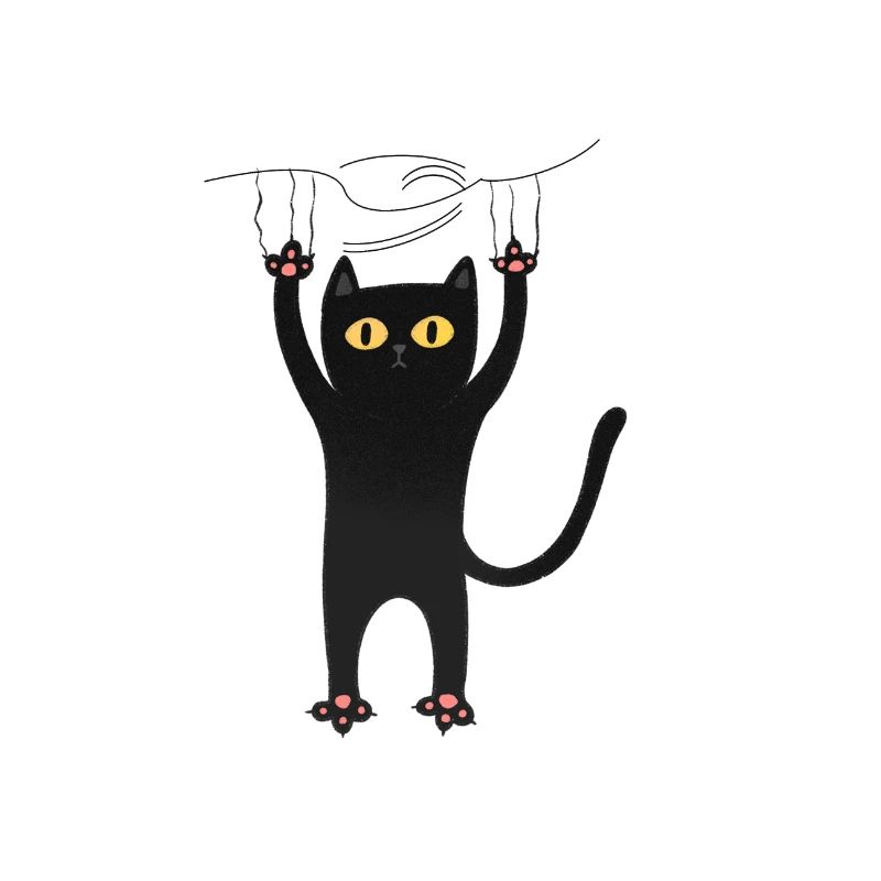 cat never falls, do not give up hands,