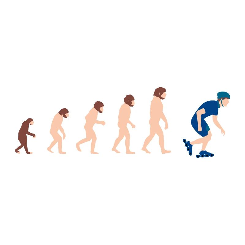 Evolution Inline Skates Funny gift idea